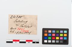Etikett zu Dolch (NHMW-PRAE-024300)